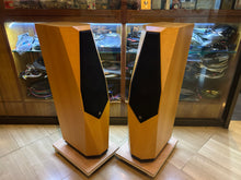 Load image into Gallery viewer, Avalon Acoustics Indra Floorstanding Speakers
