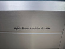 Load image into Gallery viewer, Sibatone P-107H power amplifier
